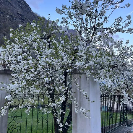 L'aria Di Casa Bed & Breakfast