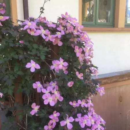 L'aria Di Casa * Alagna Valsesia