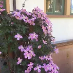 L'aria Di Casa * Alagna Valsesia