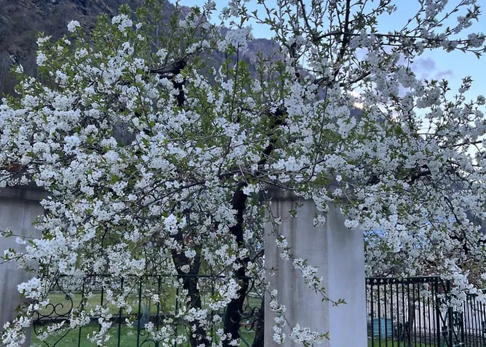 L'aria Di Casa Отель типа 